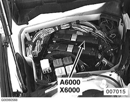 G00360568