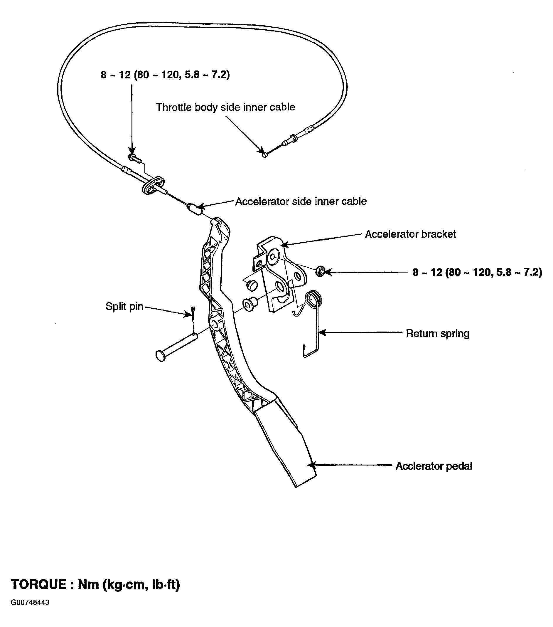 G00748443