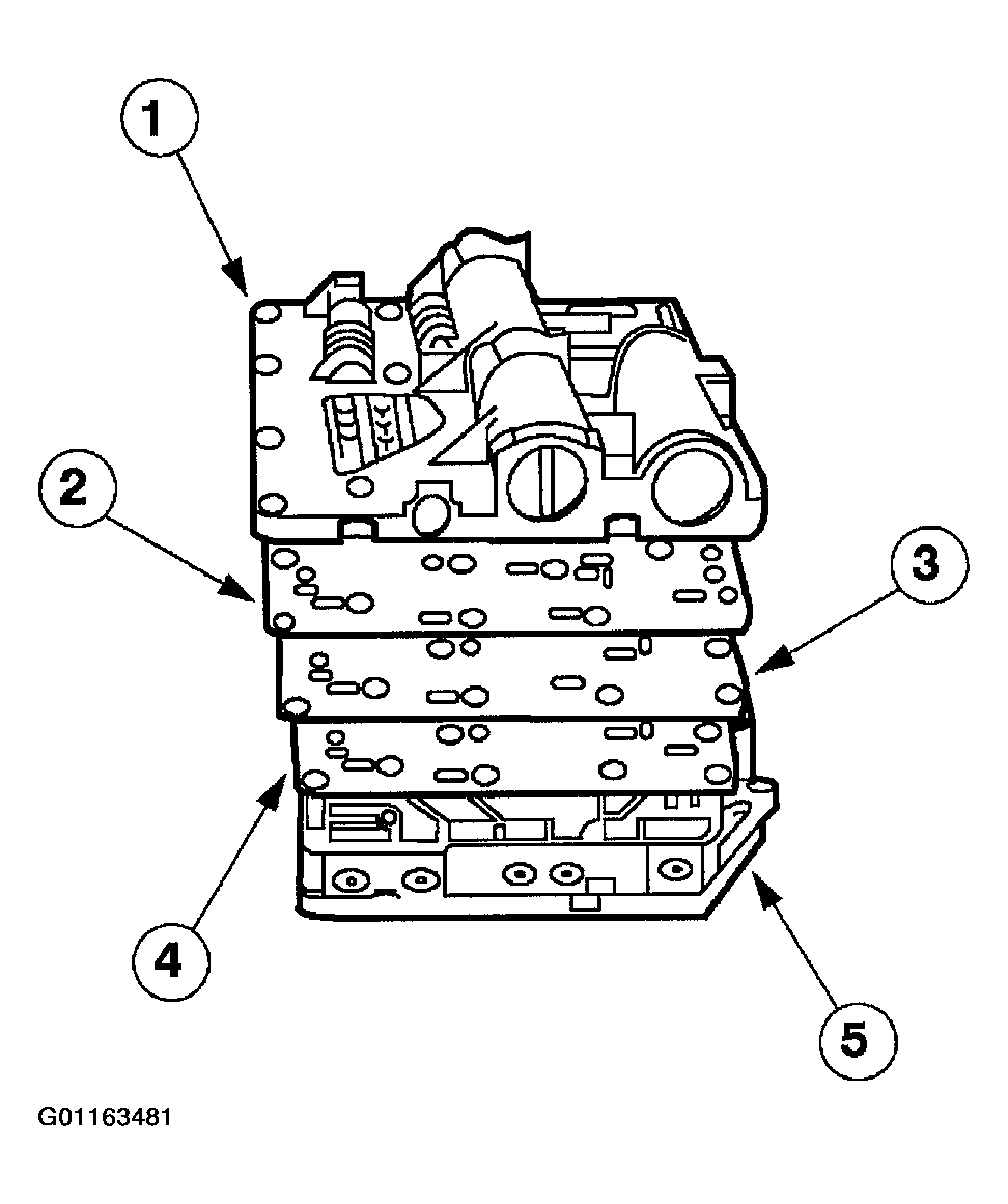 G01163481