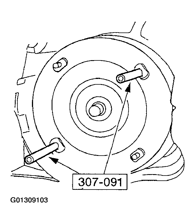 G01309103