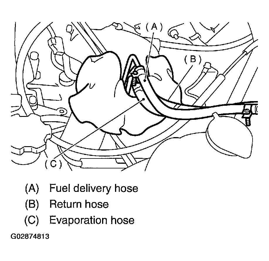 G02874813