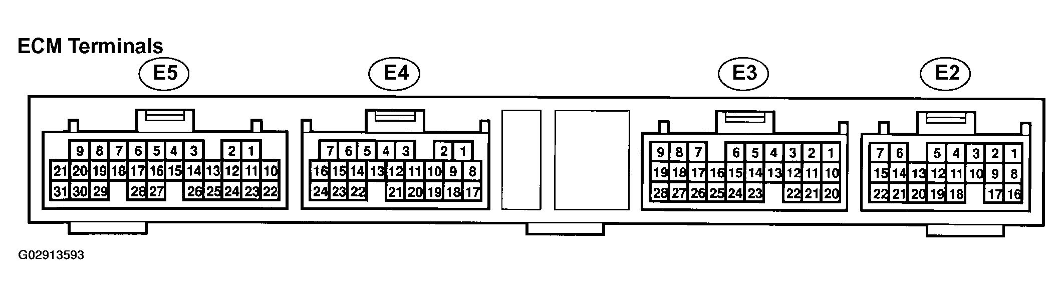 G02913593