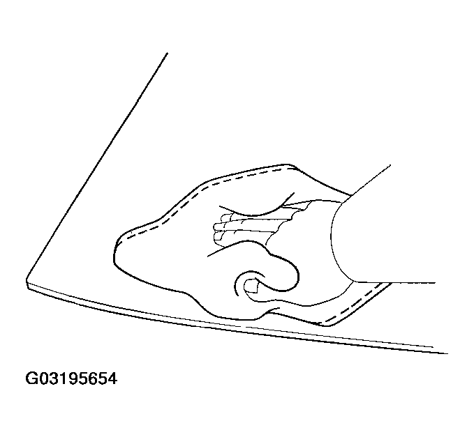 G03195654