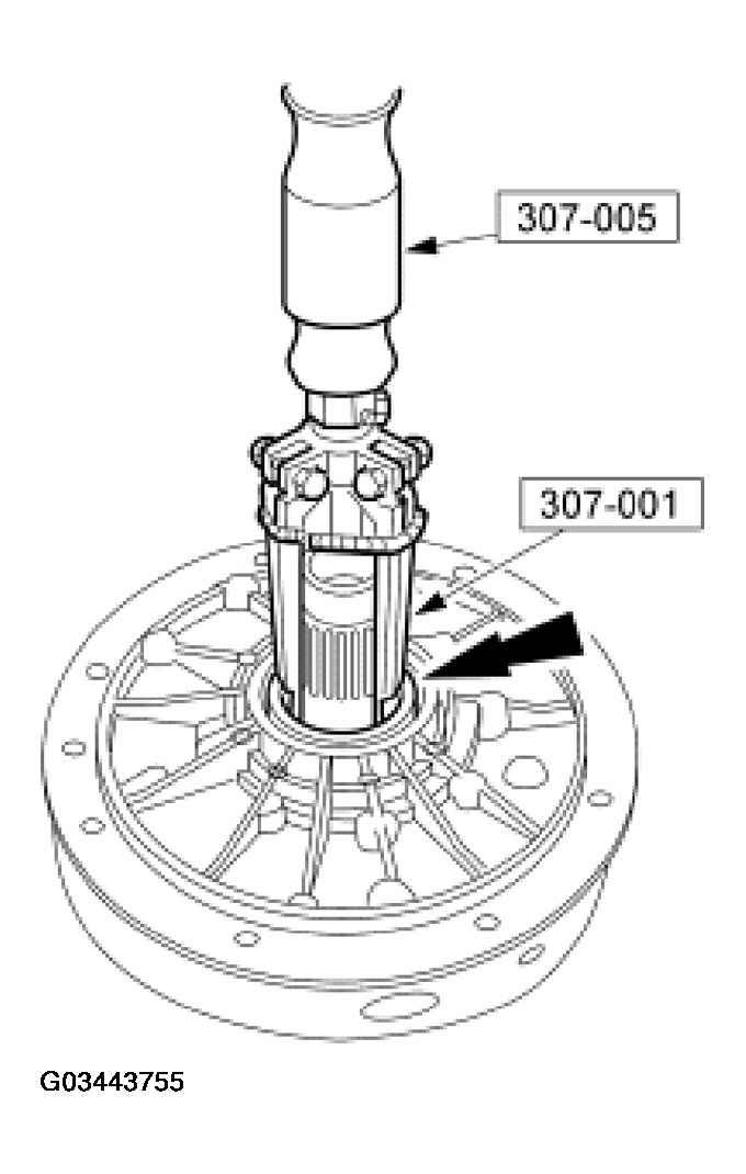 G03443755