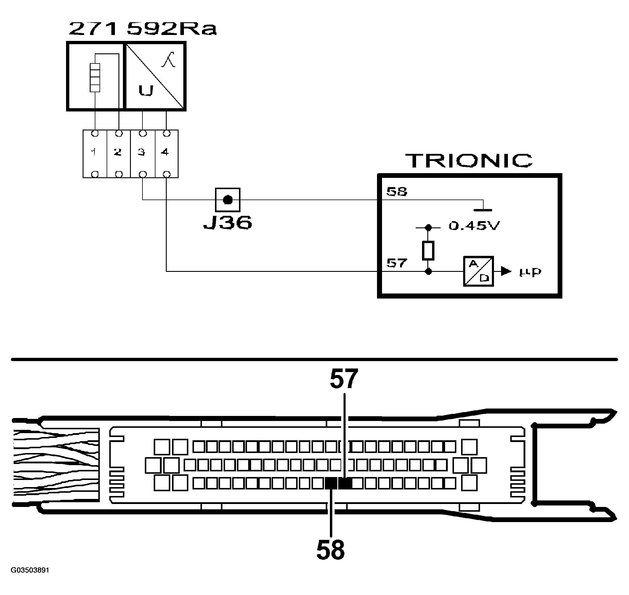 G03503891