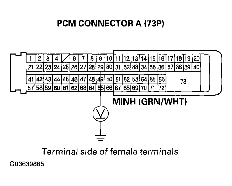G03639865
