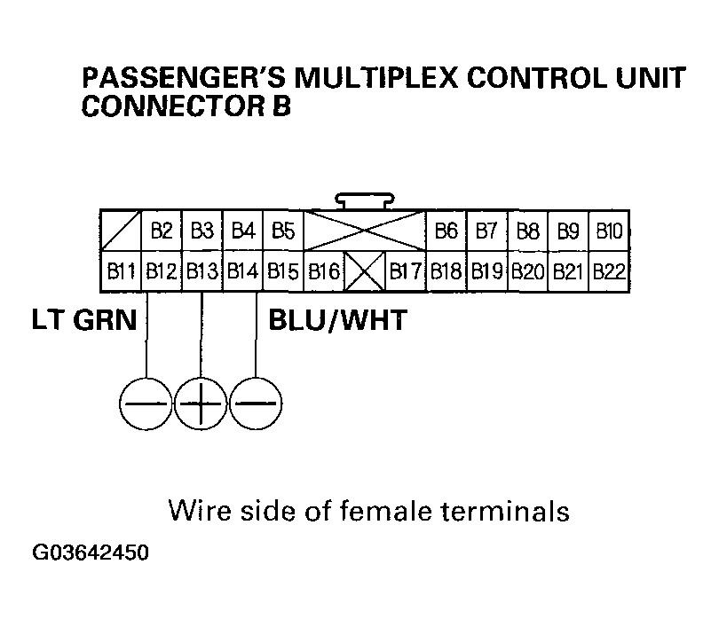 G03642450
