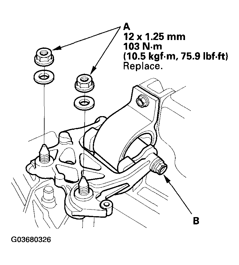G03680326