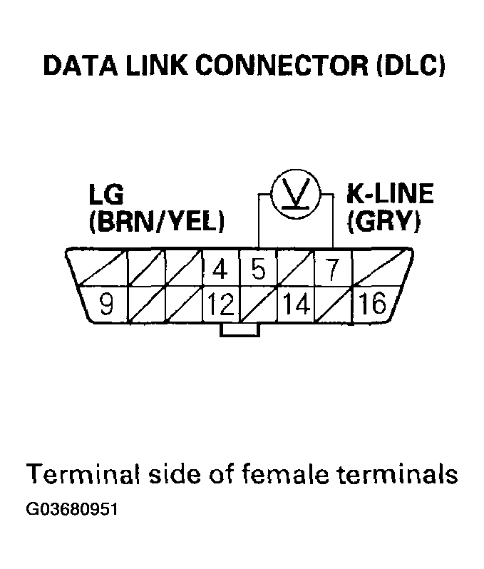 G03680951