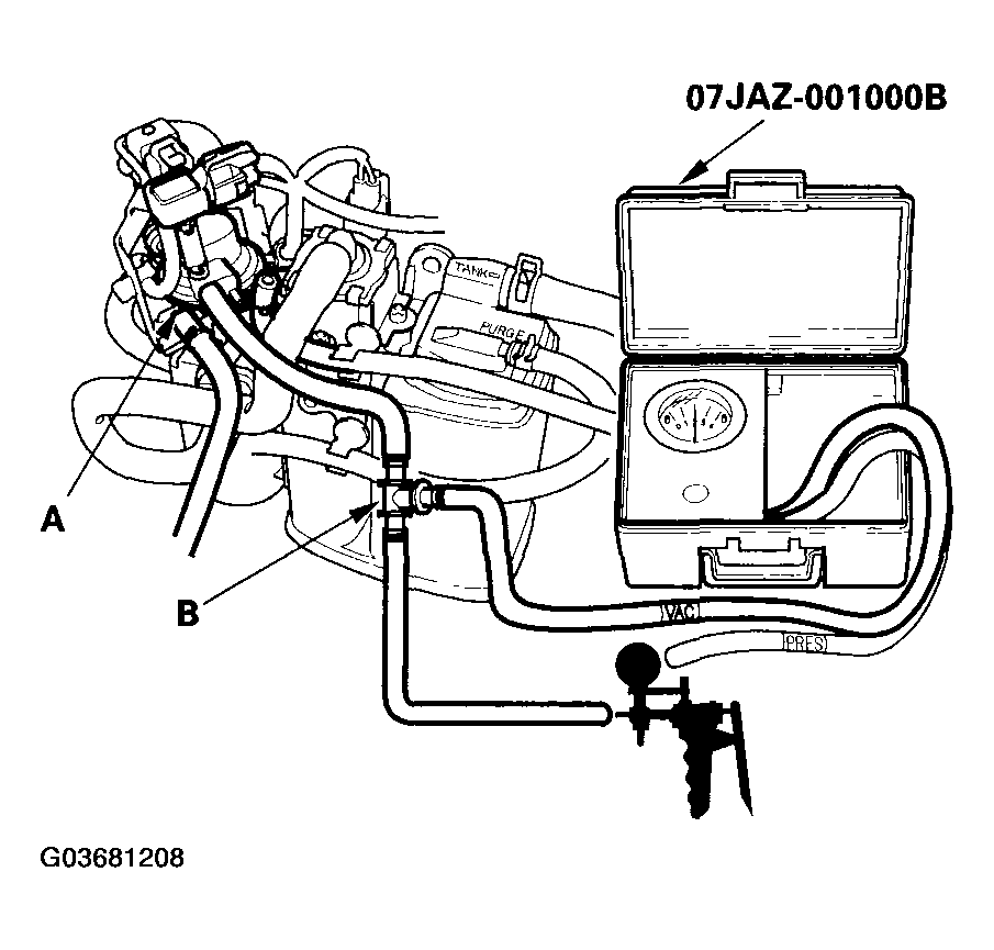 G03681208