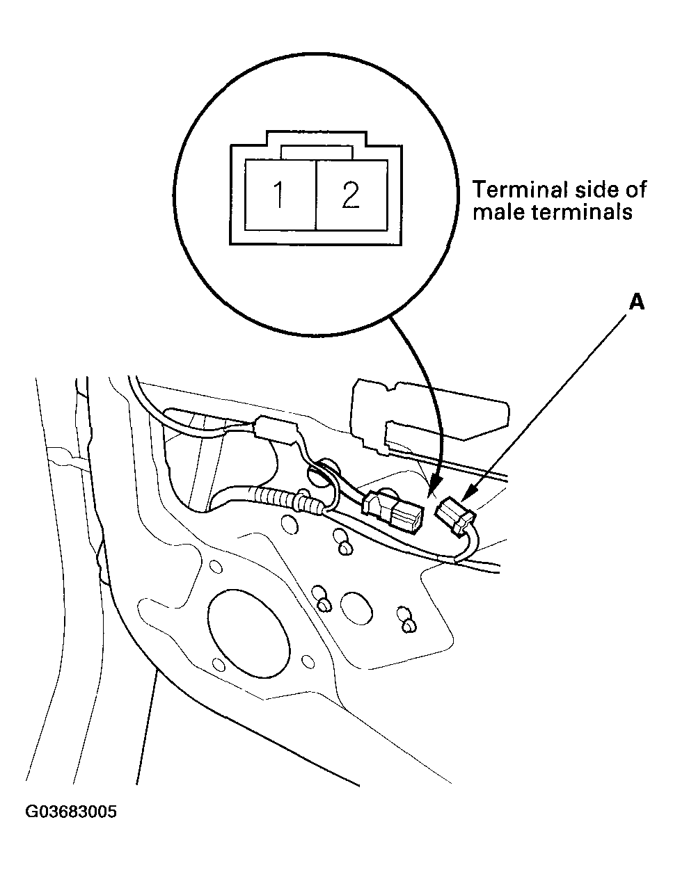 G03683005
