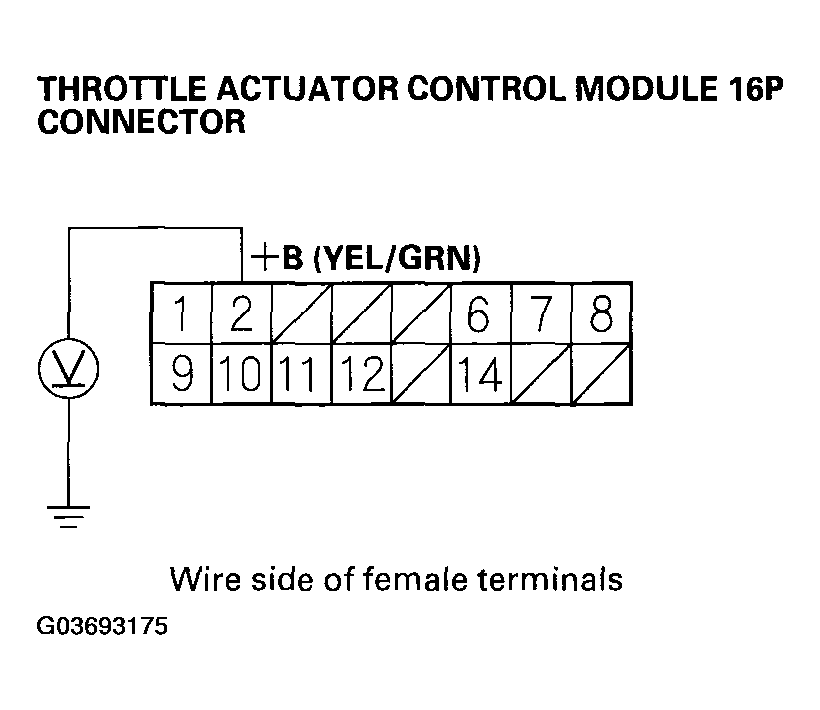 G03693175
