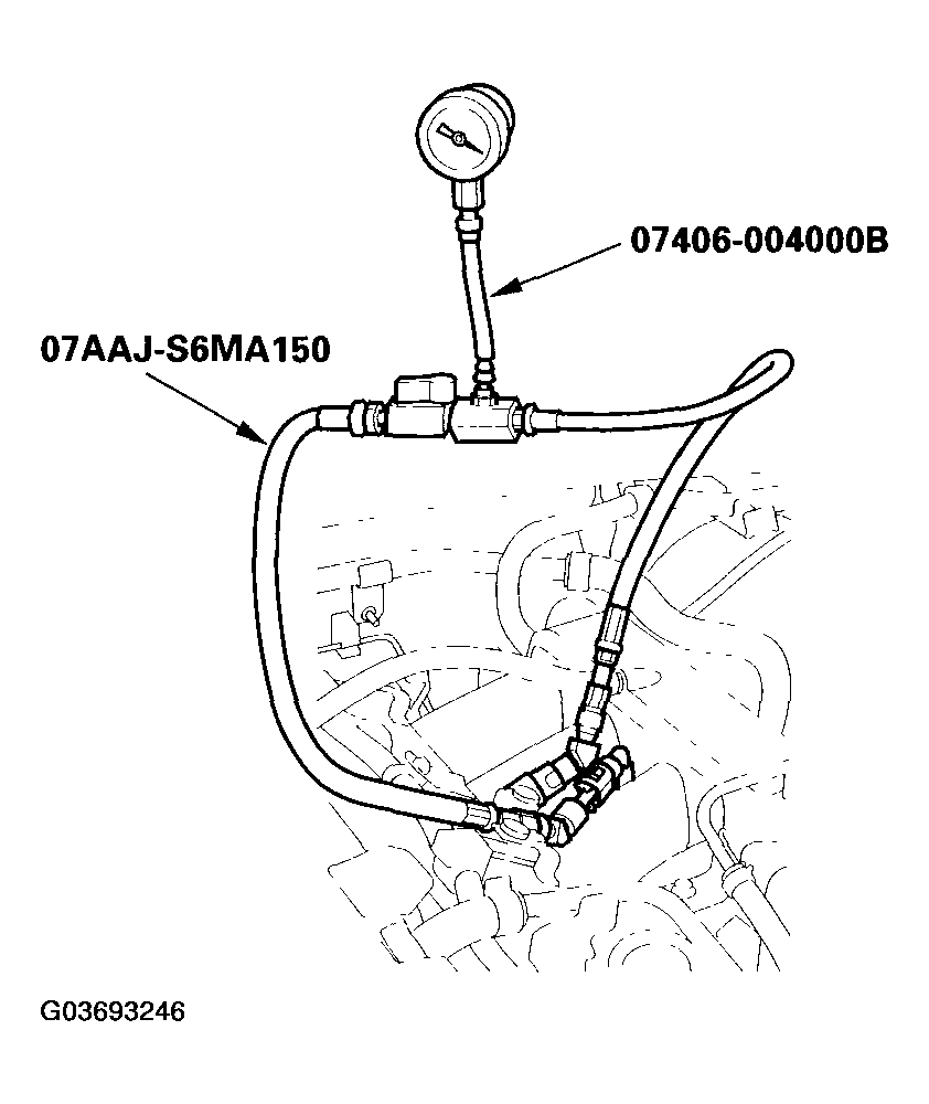 G03693246