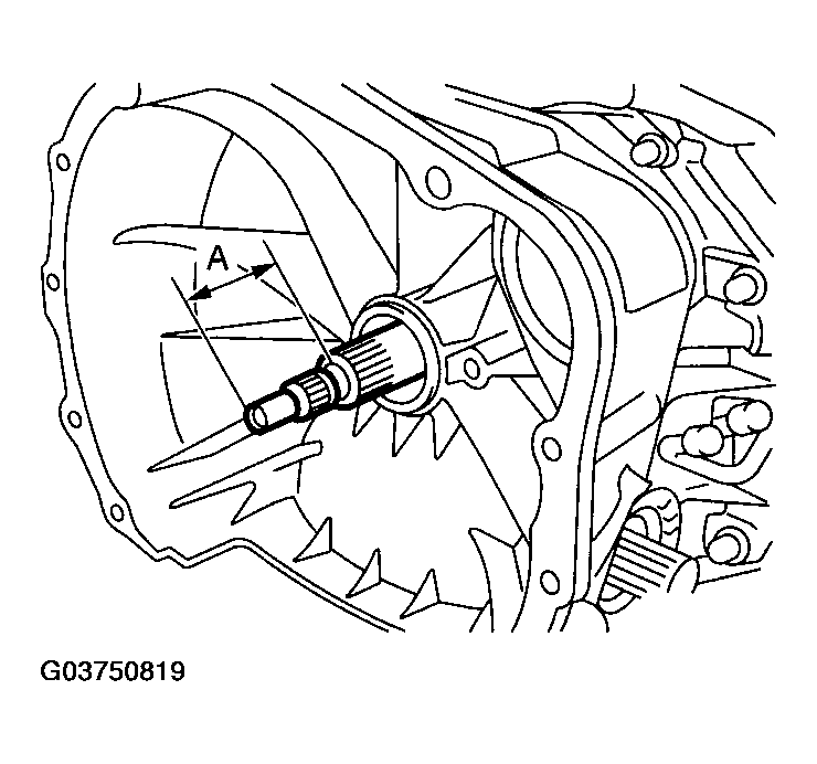 G03750819