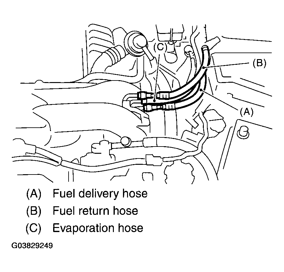 G03829249