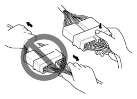 G06495279