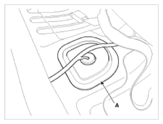 G09748784