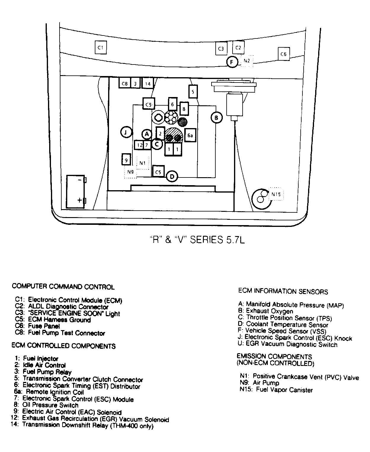G113334