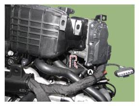 G11355001