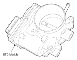 G11793813