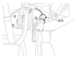 G11796956