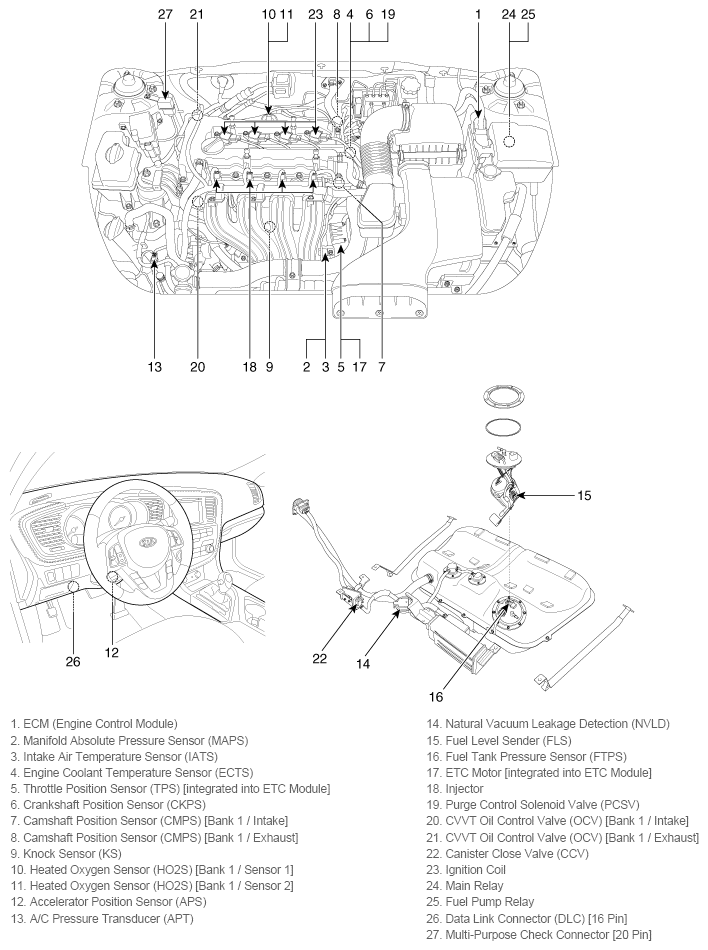 G11815716