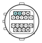 G11856832