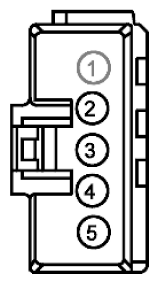 G11915624