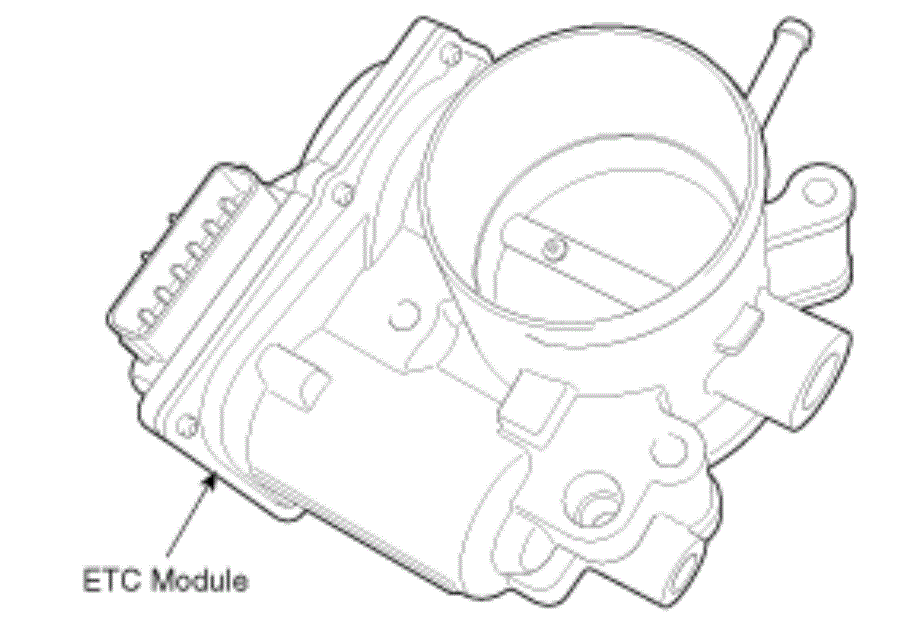 G12598482