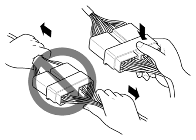 G13143246