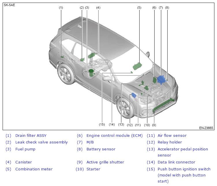 G13227606