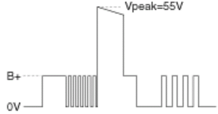 G13539325