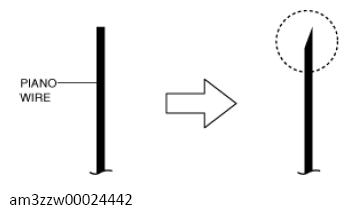 G13560184