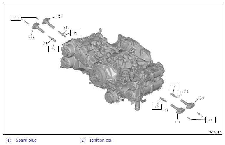 G14384517