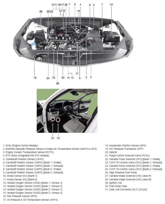 G15693262