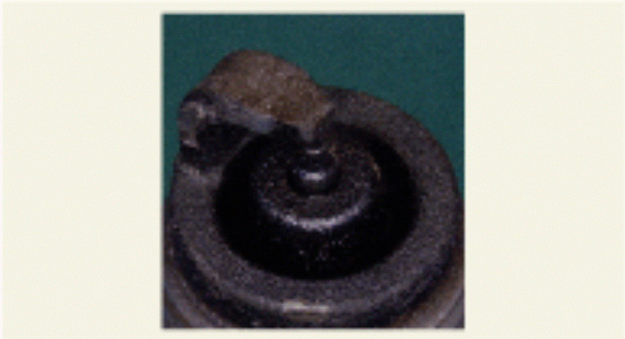 G15694375