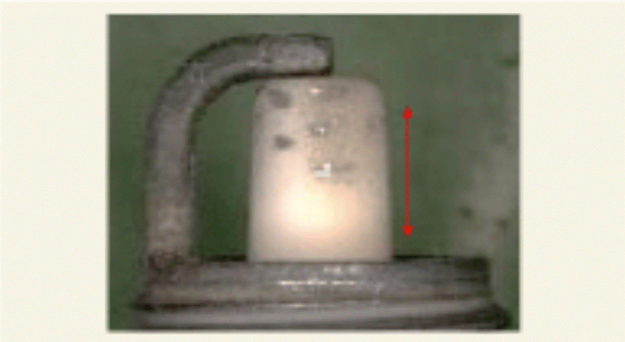 G15694376