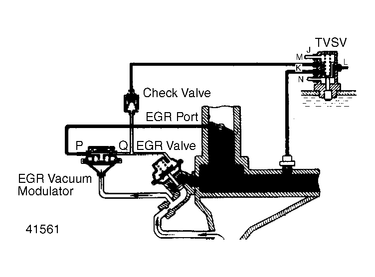 G41561