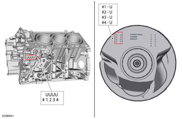 GFD344930