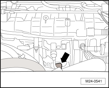 GWWM24-0541